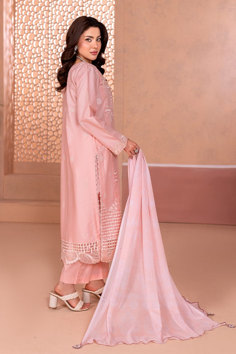 GULNAAR – COT008